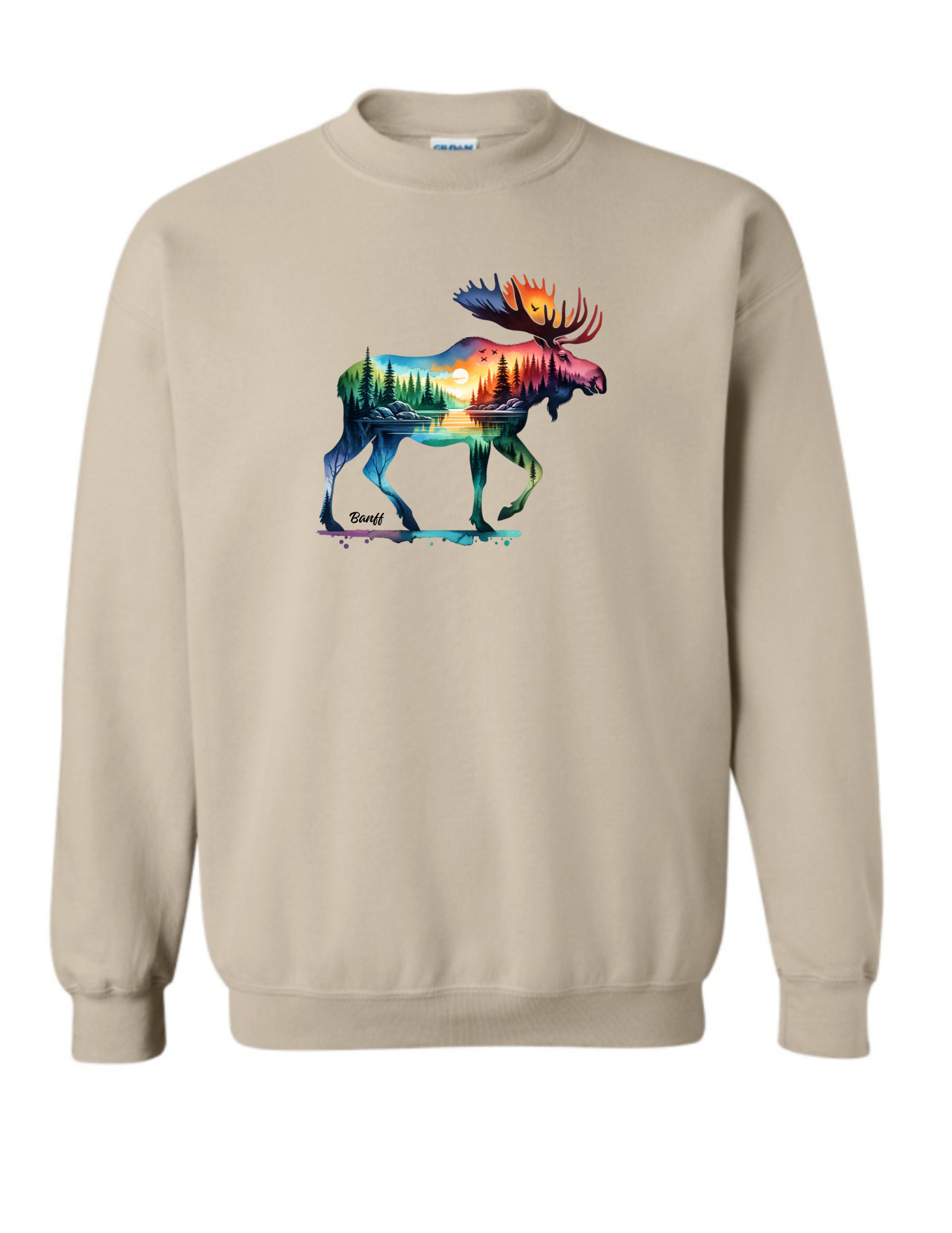 Moose Banff